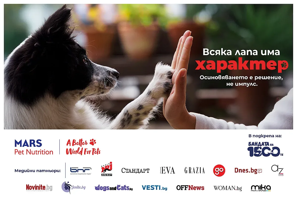 Всяка лапа има характер - нова кампания търси точния човек за всяко куче