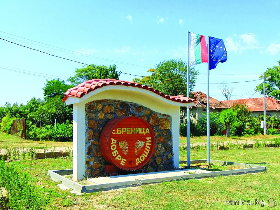 16-brenica-02