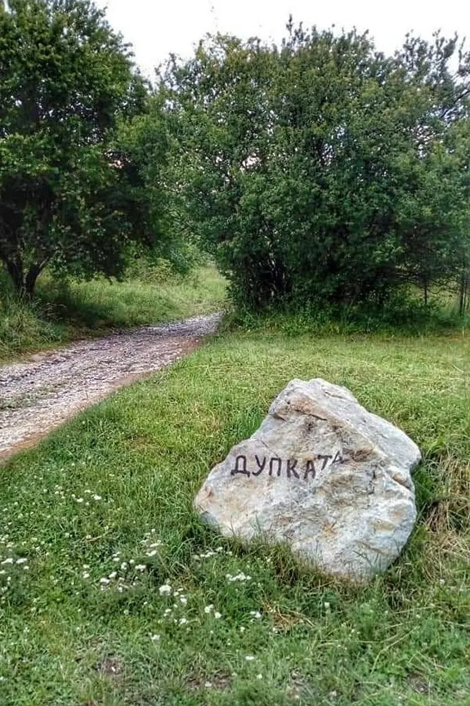 дупката