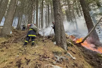 Дете игра с огън и подпали двор и гора