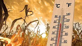 Ел Ниньо готви невиждан удар от 70 години