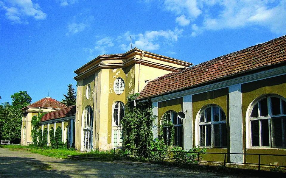 vyrshec-carskoto-kazino-wiki