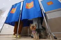 Изборите в Русия: Очаква се победа за партията на Путин