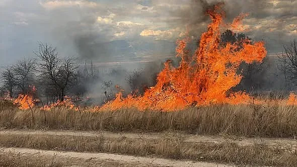 Райско наше село в пламъци. Задействаха BG-Alert