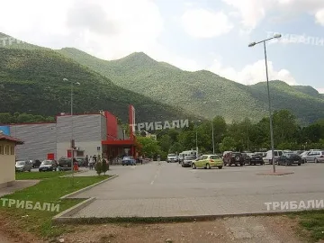 Учителка от Враца шокира народа! Хората изумени