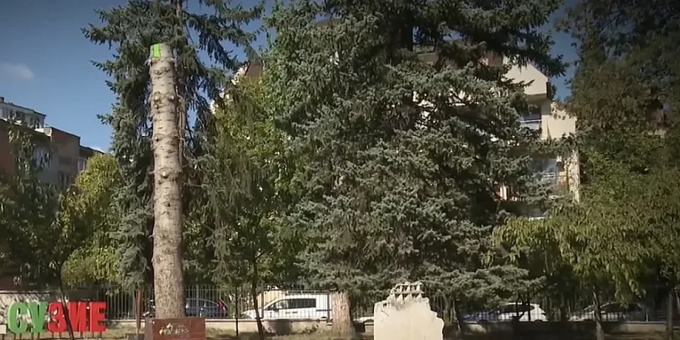 борът на гагарин