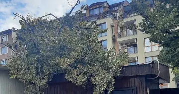 Брутален вятър вилнее във Варна! Дървета падат, магазин е затрупан