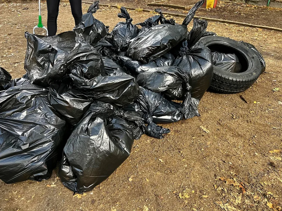 PK-Cleanup-Vytreshna