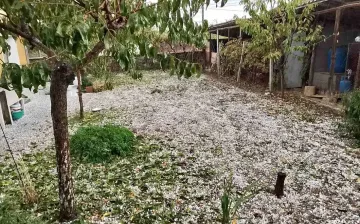 Градушка колкото лешник порази наше село