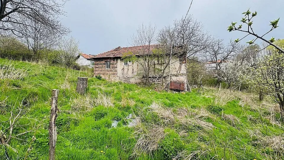 дивотино3