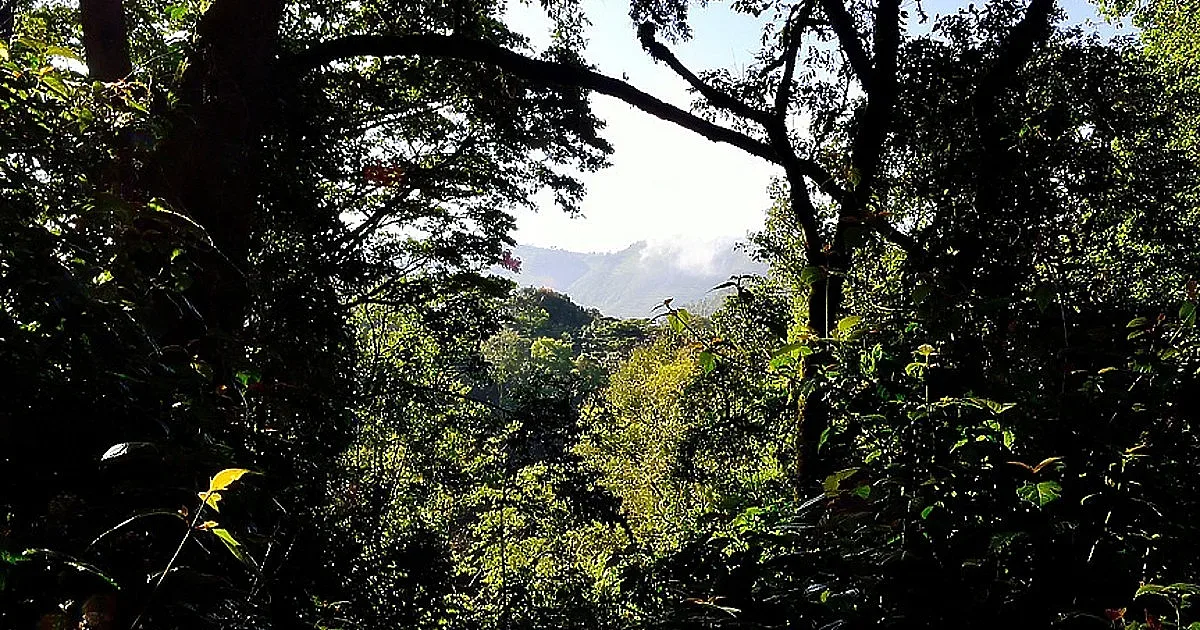 Нова екопътека в Родопите. По стъпките на Капитан Петко войвода