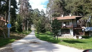 Тайните на най-младото село у нас: Легенда за изцеление, царски указ и имотен бум в Родопите