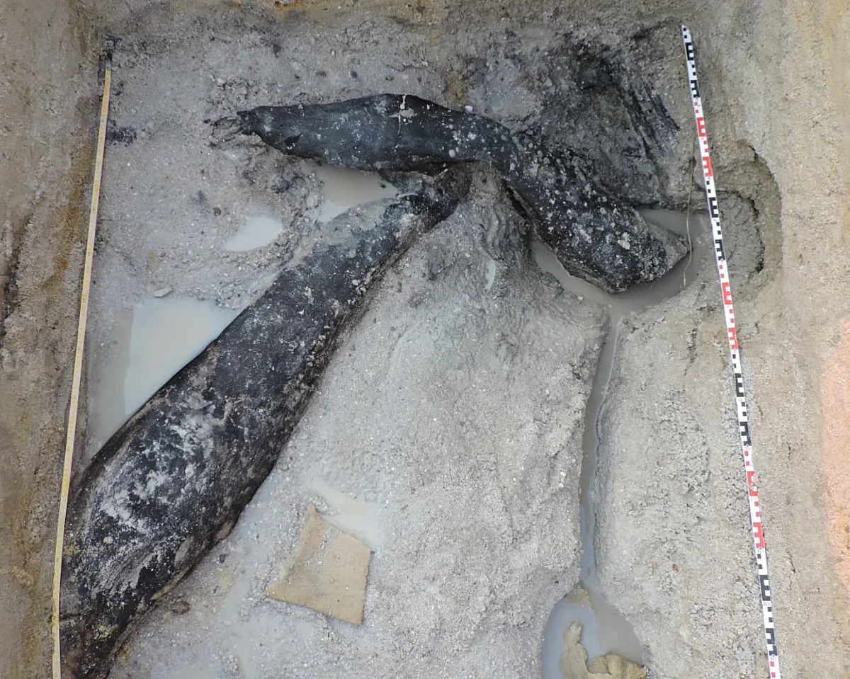 Два дървени предмета пренаписват историята. Тайна на половин милион години