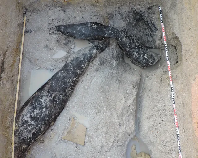 Два дървени предмета пренаписват историята. Тайна на половин милион години