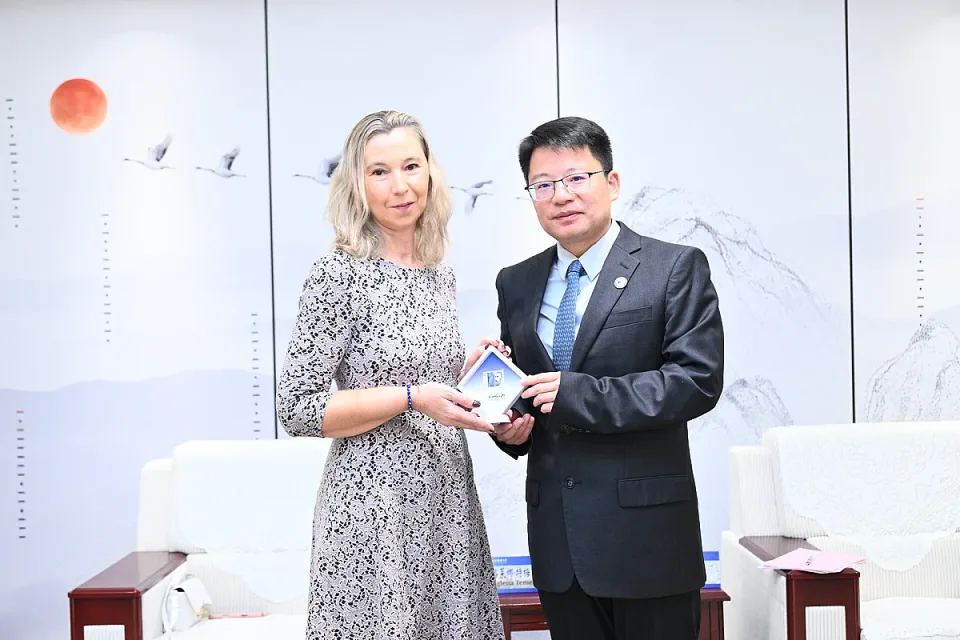 XIN_01