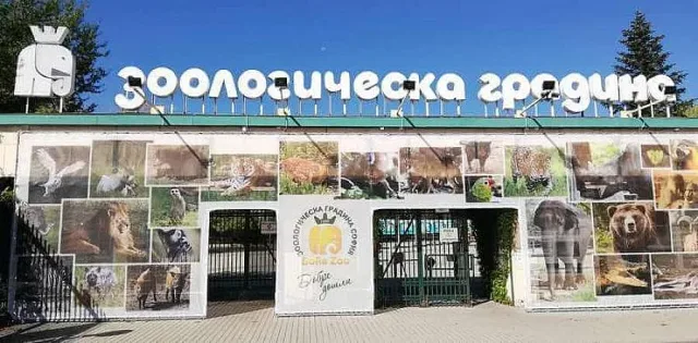 Грижат се за 240 вида животни, а получават почти минимални заплати: протест в Софийския зоопарк