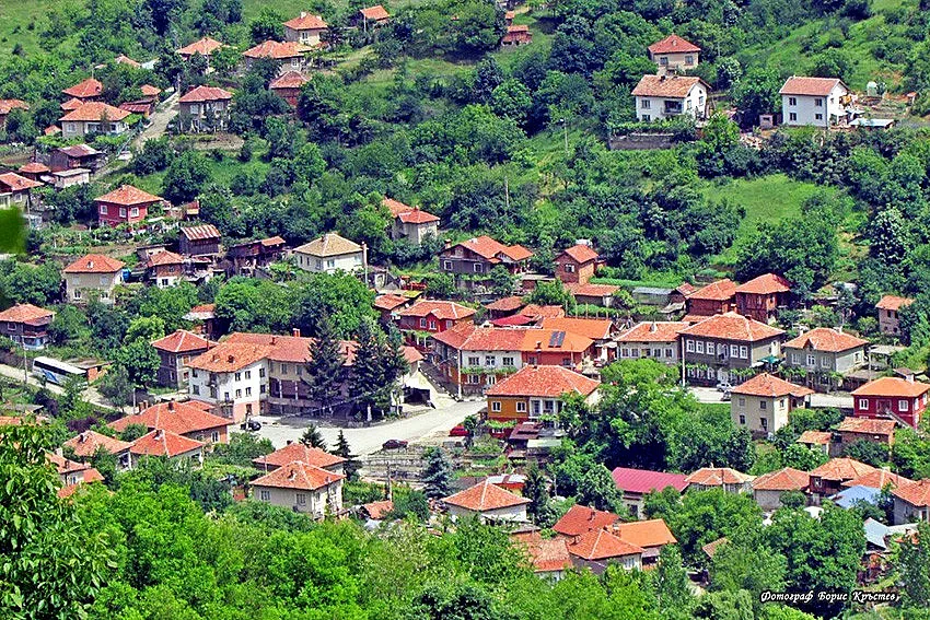 Само във вестник СТАНДАРТ: 18 оброка пазят Игнатица