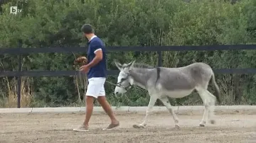 Обрат! Появи се нов Ерген