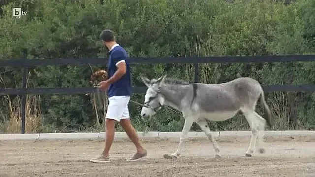 Обрат! Появи се нов Ерген