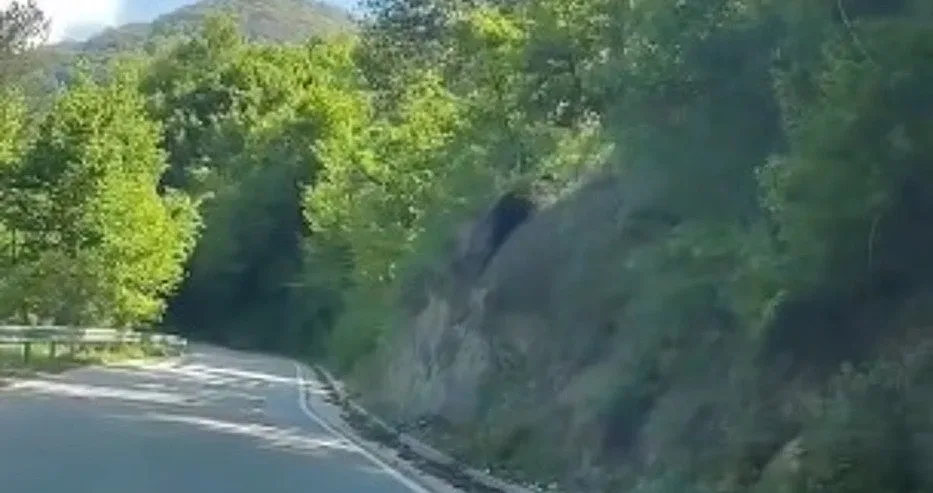 Изненада в Балкана! Туристи се стреснаха сериозно