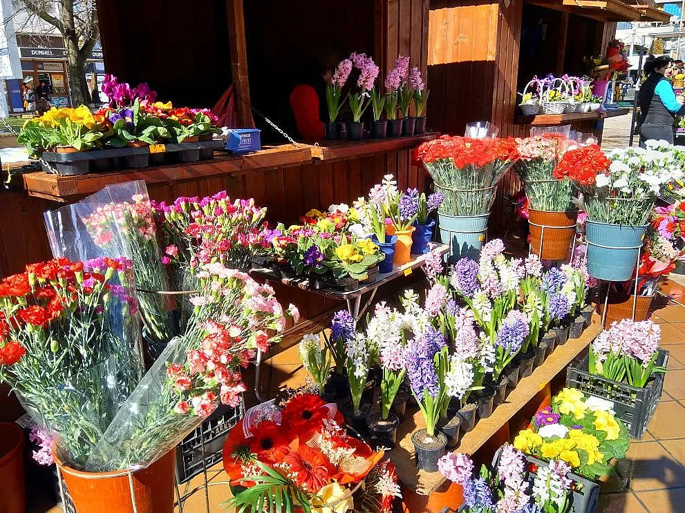 340 000 българи с имена на цветя. Търговците се готвят за голям удар