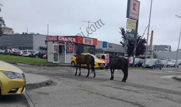 Полиция заварди изходите на Кърджали. Голям удар!