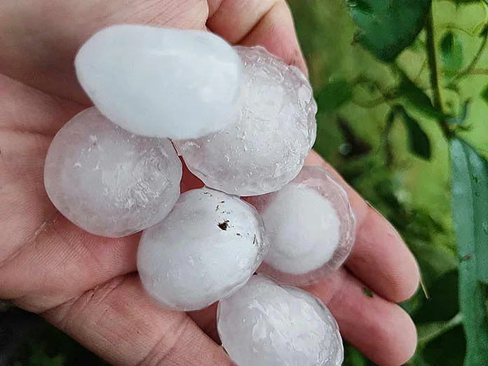 Каракачанов: Държавата трябва да се погрижи за земеделските стопани