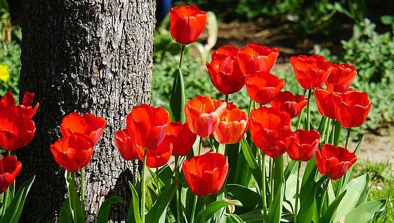 Времето се затопля, къде ще вали