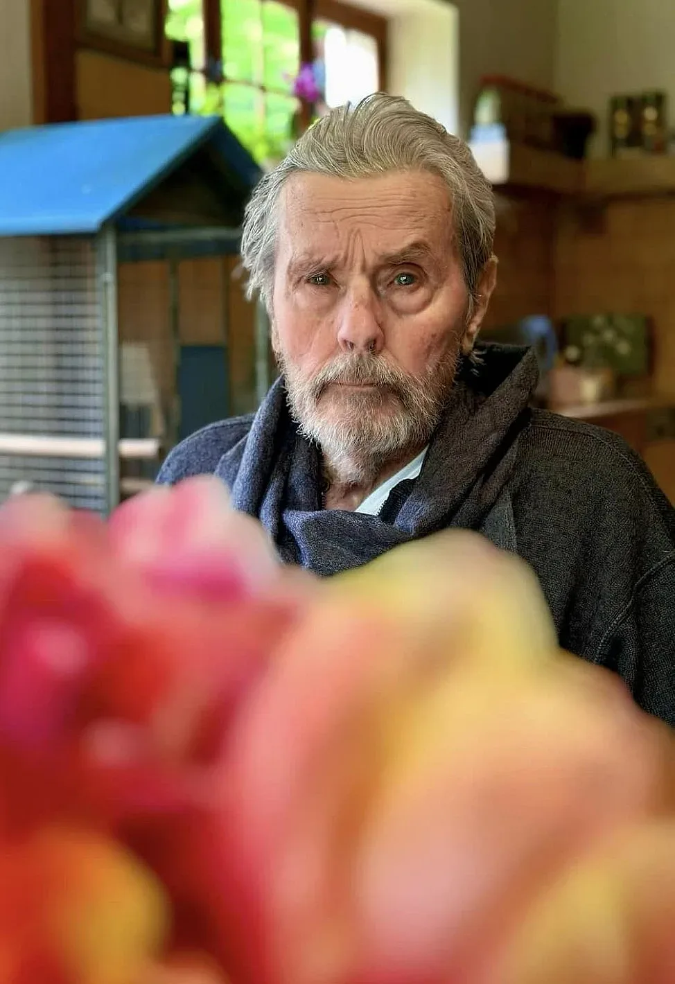 Шокираща снимка на Ален Делон! С негово съгласие