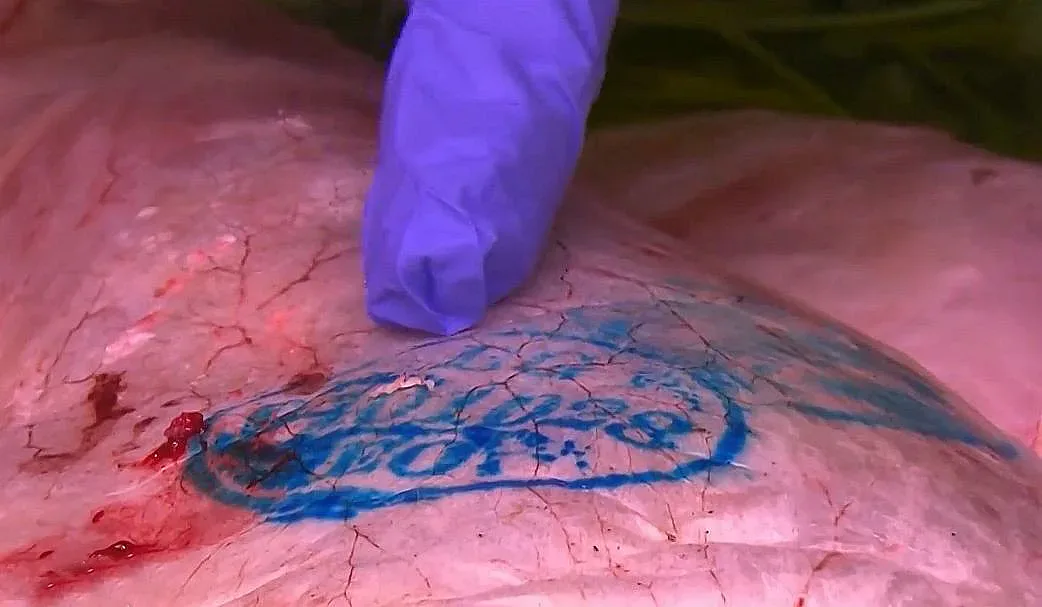 Вижте как да разпознаете българското агнешко в магазина