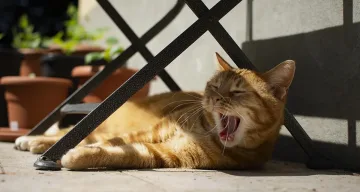 След градушката! Нов обрат във времето