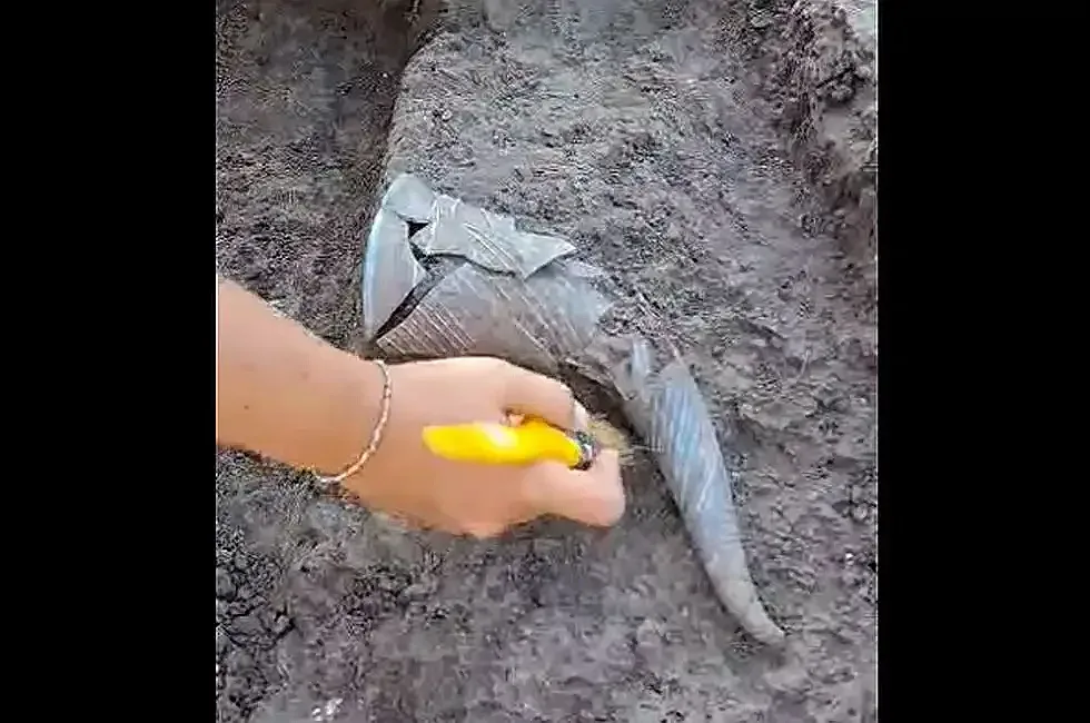 Археолозите с удар! Изключително рядка находка