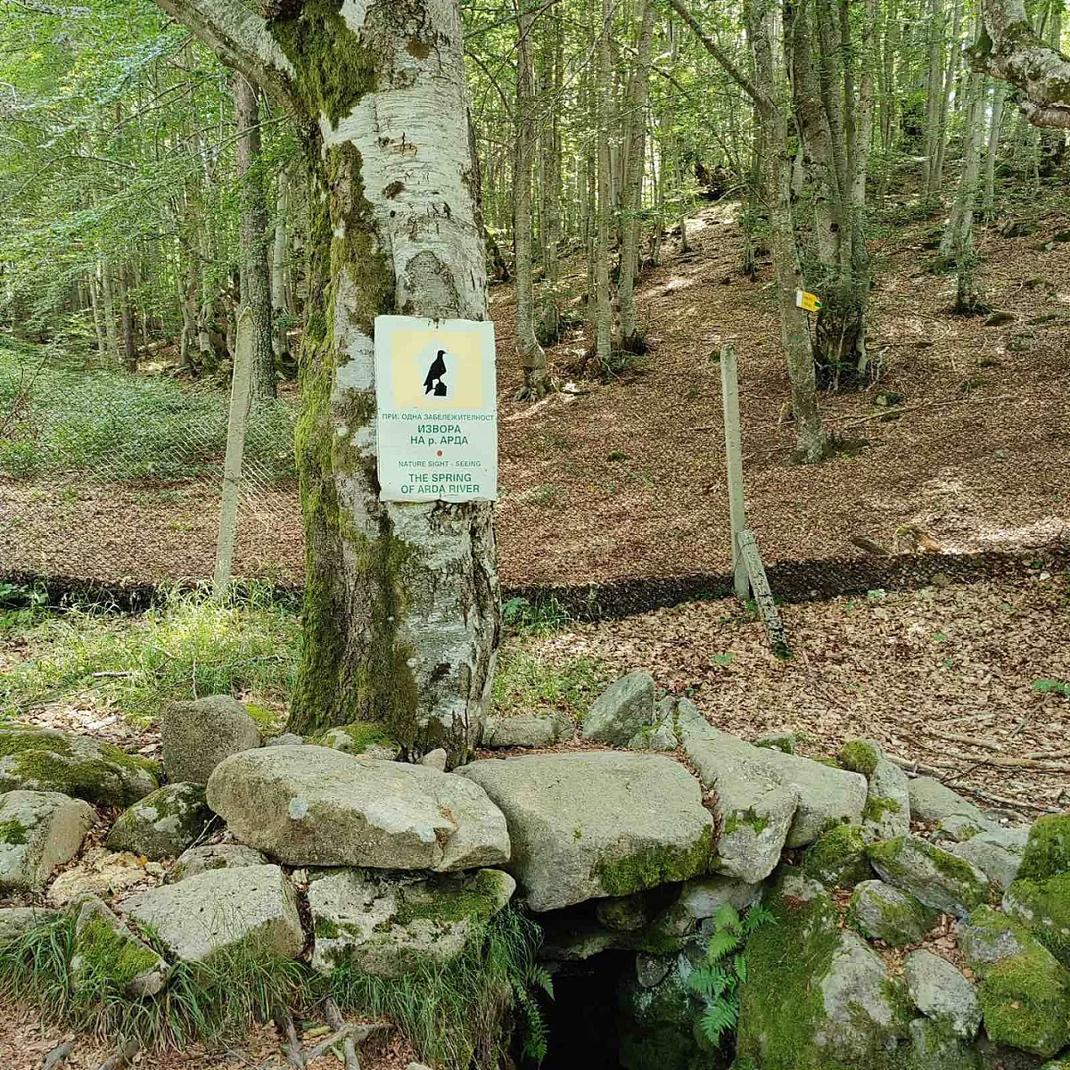 На метри от Гърция. Ето я най-дългата родопска река