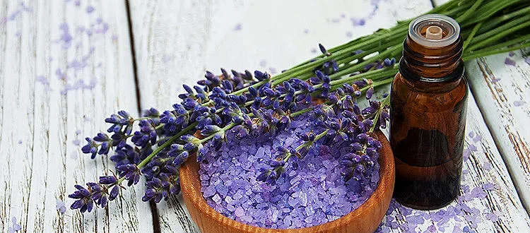 България първенец в пpoизвoдcтвoтo на "cиньo злaтo"