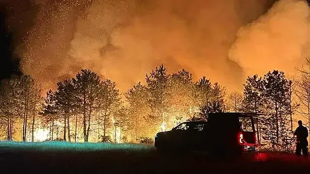 България в Топ 5 в ЕС. Новината не е добра