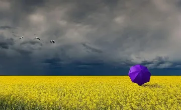 Обрат с времето. Изненада на 17 август