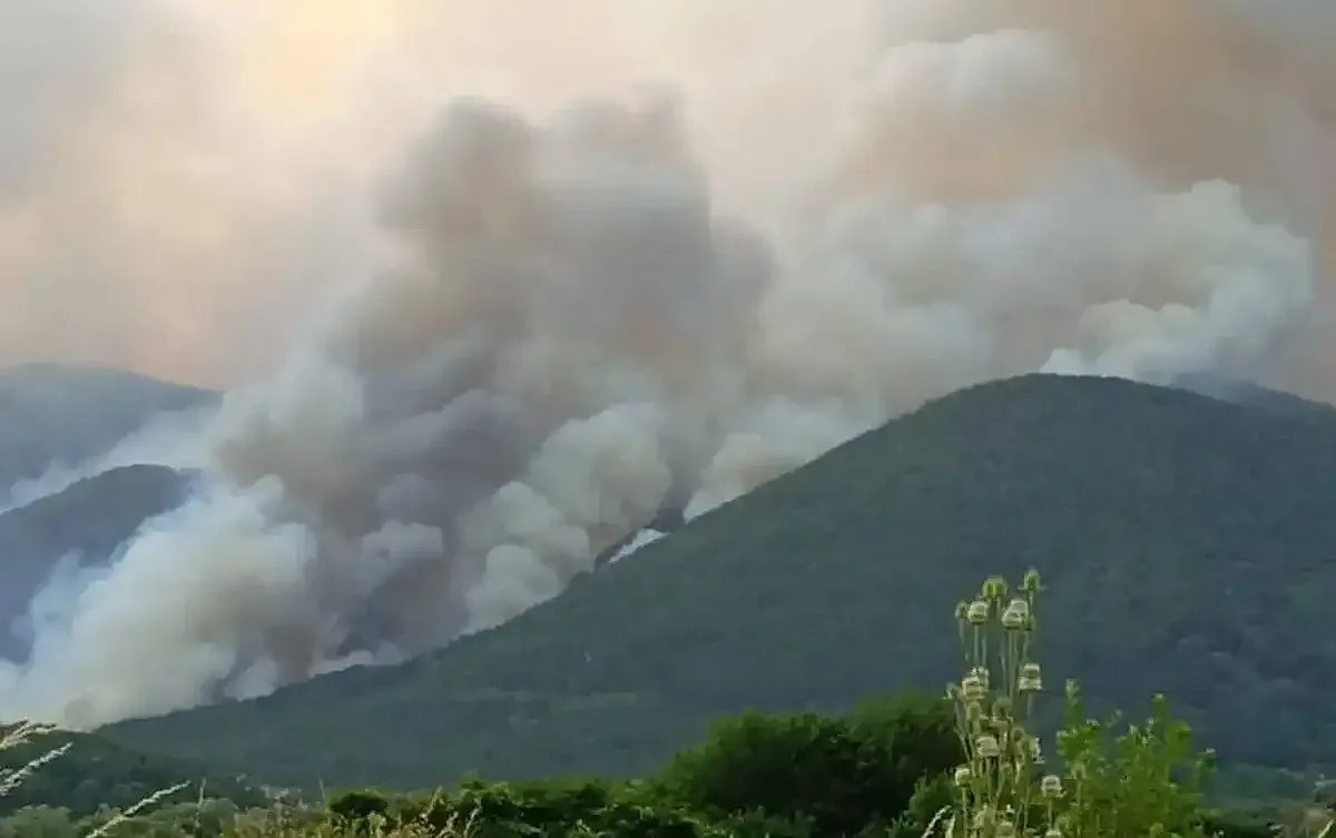 Продължава гасенето на пожари край Кърджали и в Пирин