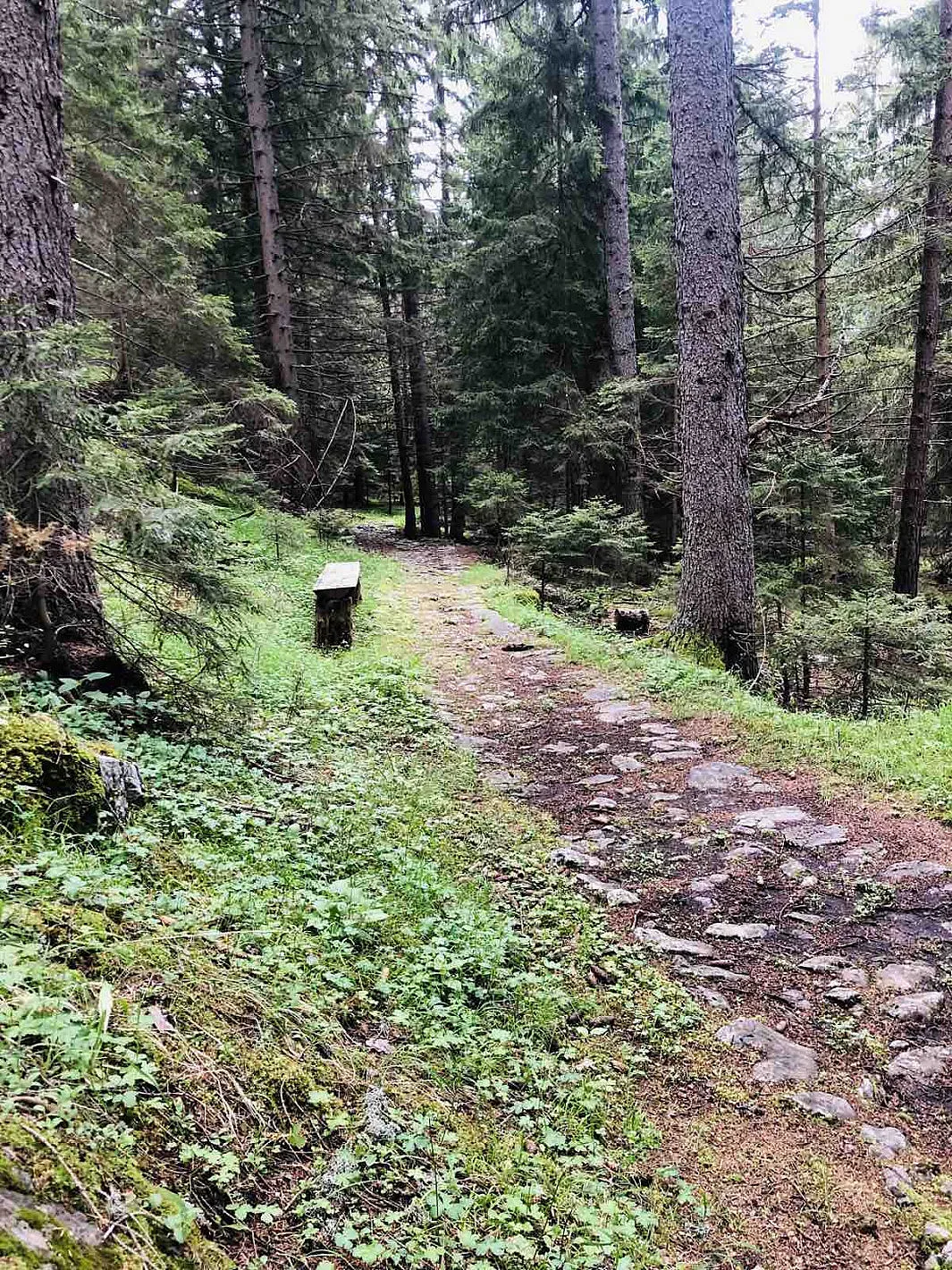 Легендата за невестата и най-прекия път за Беломорието