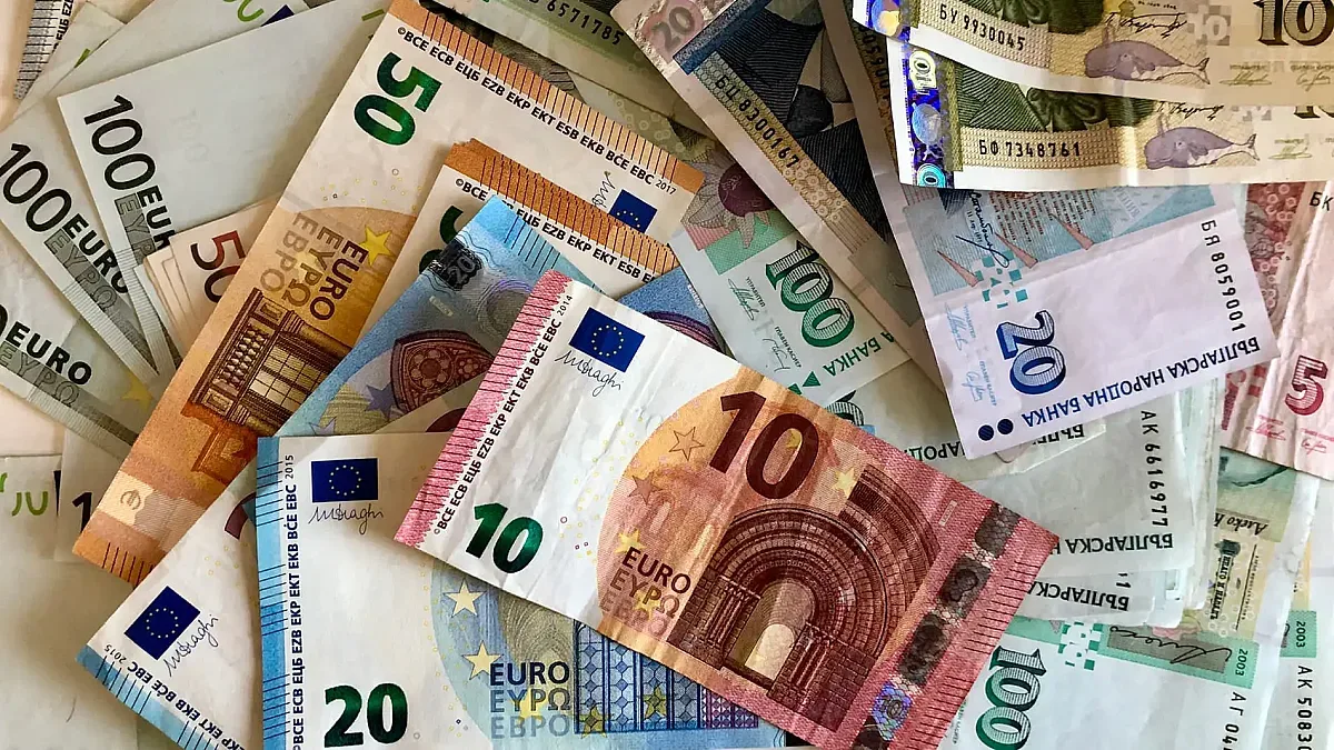 МВР с ключови съвети срещу киберизмами за еврото