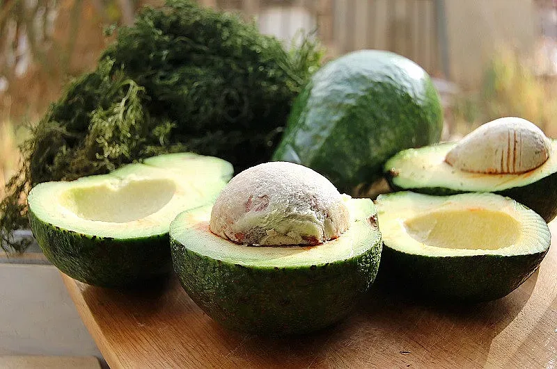 Изненада! Костилката на авокадо крие куп ползи