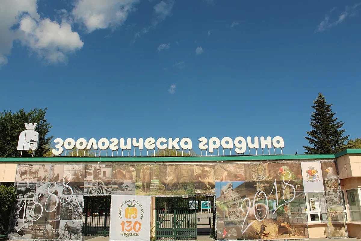 Нова промяна в столичния зоопарк. Наливат куп пари
