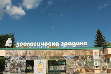 Нова промяна в столичния зоопарк. Наливат куп пари