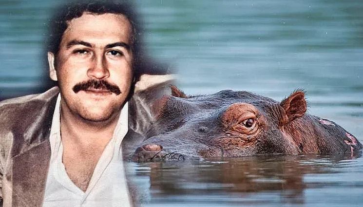 "Мечките" на Берлинале – политически коректни