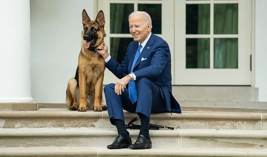 Ново 20! Какво стори немската овчарка на Джо Байдън