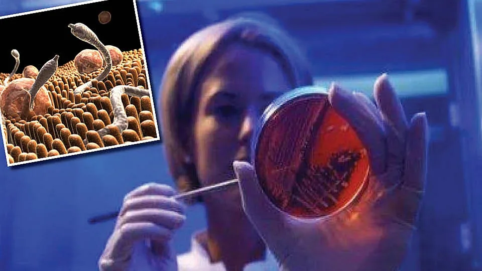 Защо антибиотикът спира да лекува