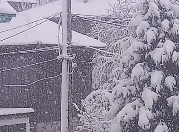 Сняг затрупа вълшебно място у нас!