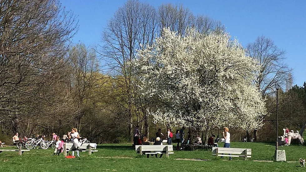 Ремонтират парковете в София. Вижте как