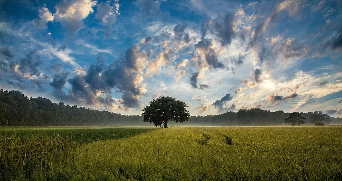Ключова новина за собствениците на земеделски земи