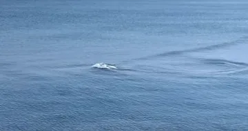 Феномен! Разкриха нещо странно в морето край Созопол