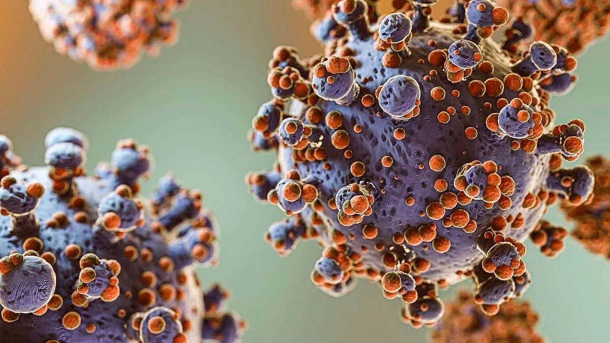 Съществува ли болестта Х? Наш експерт разбулва тайната